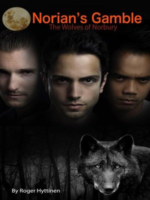 cover image of Norian's Gamble